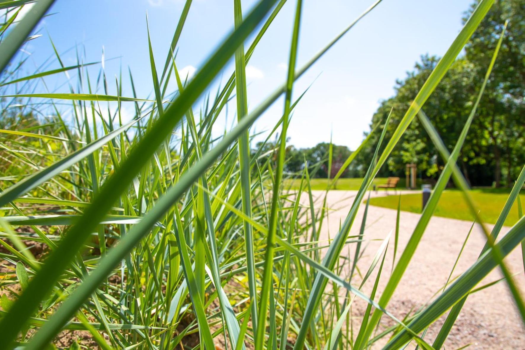 Wohnen Am Suedstrand - Ferienwohnung 1 1 Wyk auf Föhr Zewnętrze zdjęcie